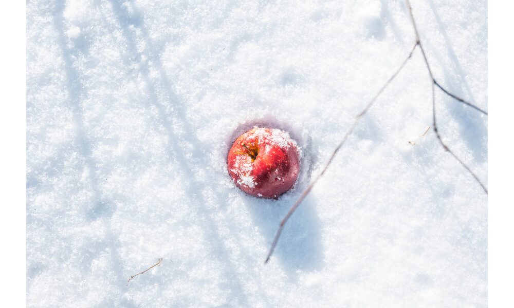 snowwhite