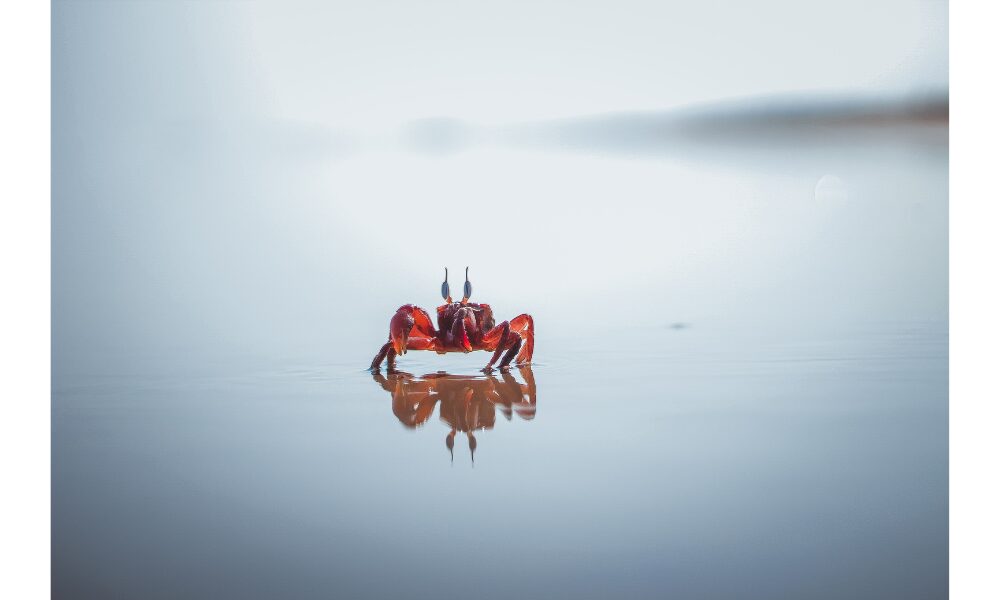 Sebastian