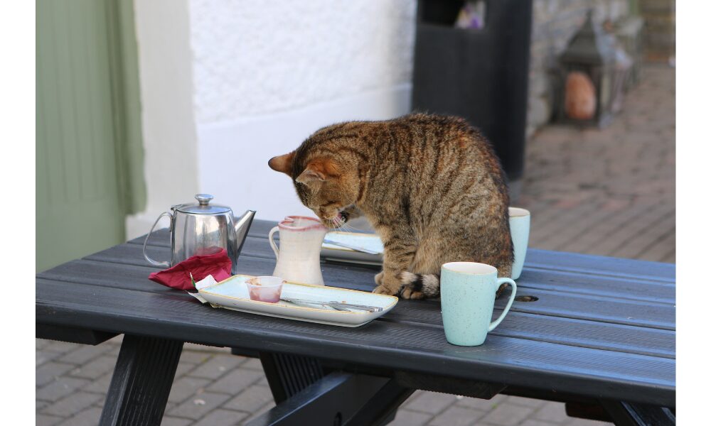 coffee time