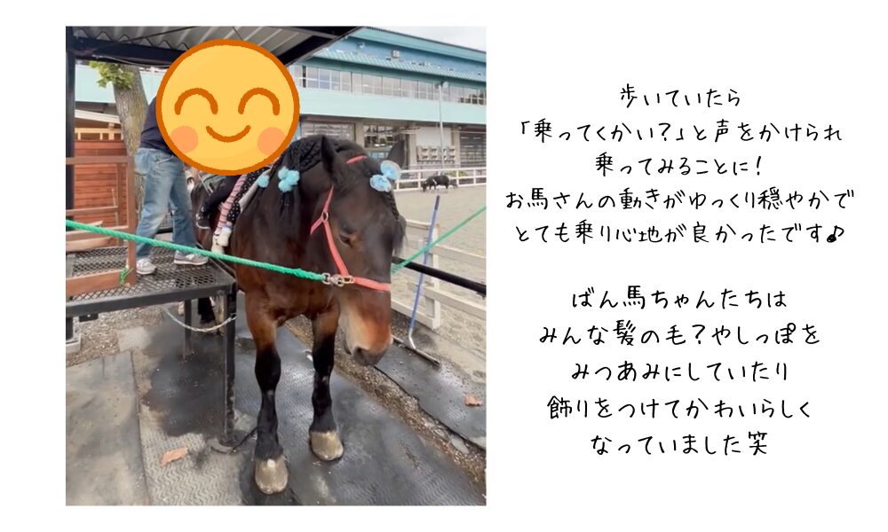 Banei racehorses