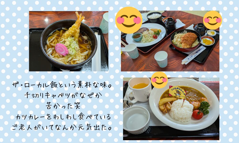 道の駅飯