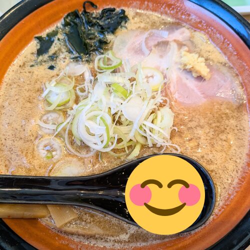 虎鉄熟成あらごし味噌
